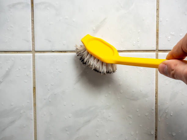 Best Water Damage Restoration  in St Marys, PA