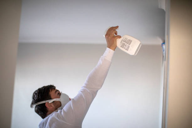 Mold Testing and Removal in St Marys, PA