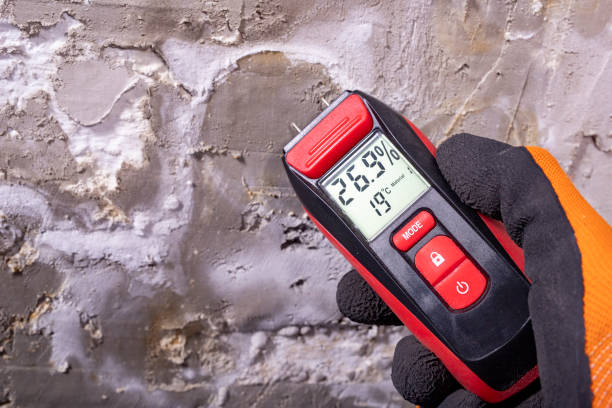 Best Attic Mold Removal  in St Marys, PA