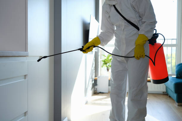 St Marys, PA Mold Removal Company