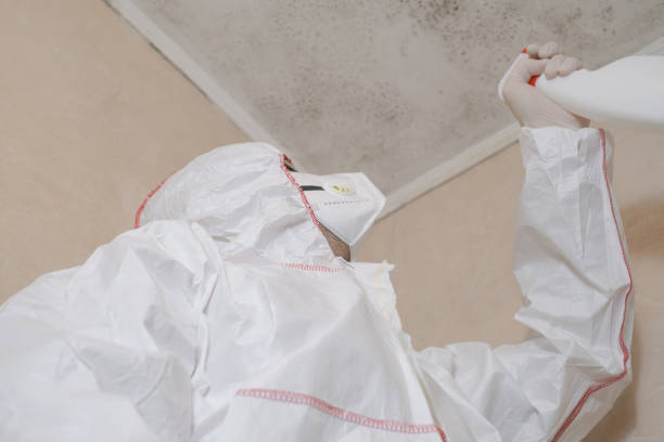 Best Professional Mold Removal  in St Marys, PA